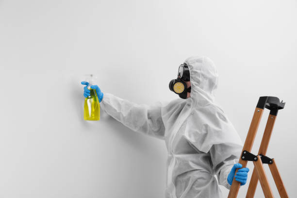 Why You Should Choose Our Mold Remediation Services in Clovis, CA